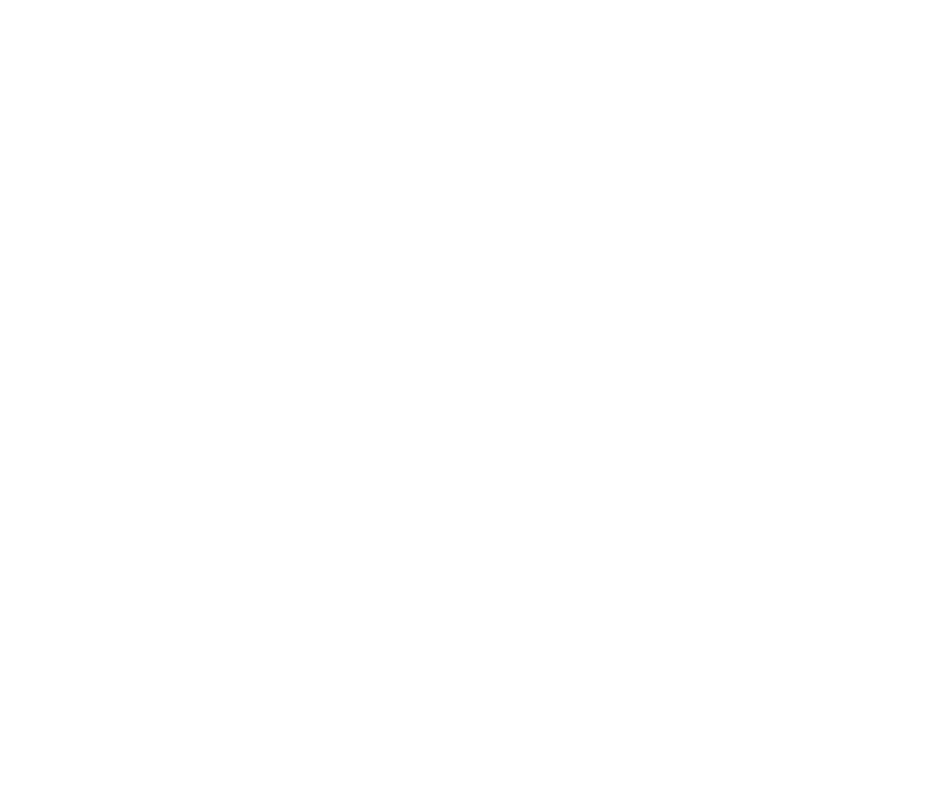 Red de Centros de Innovación