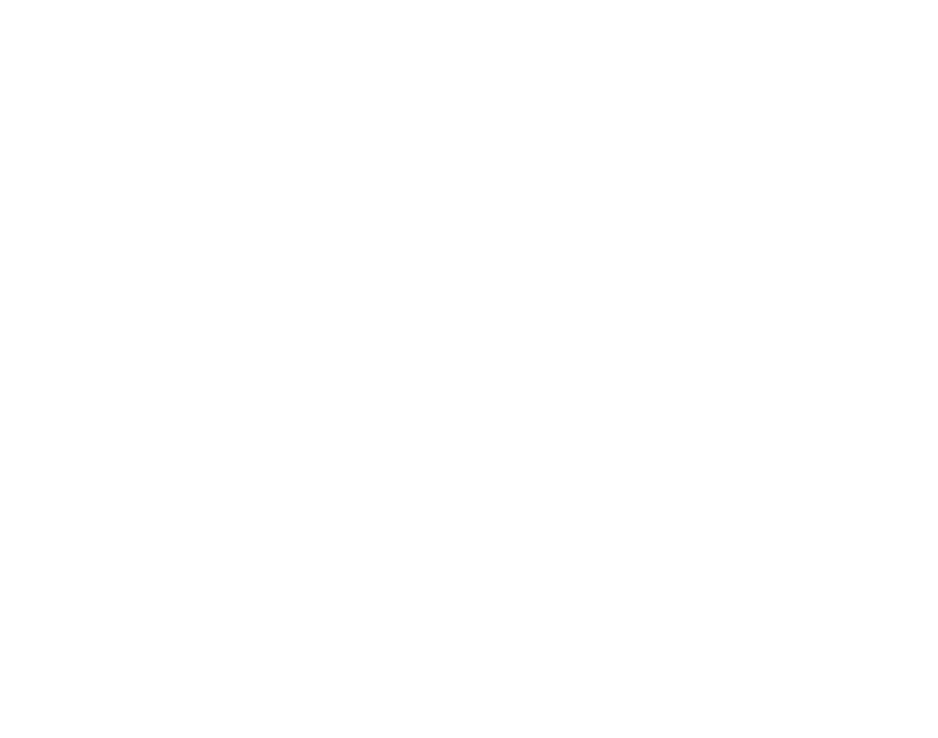 Young Business Leaders